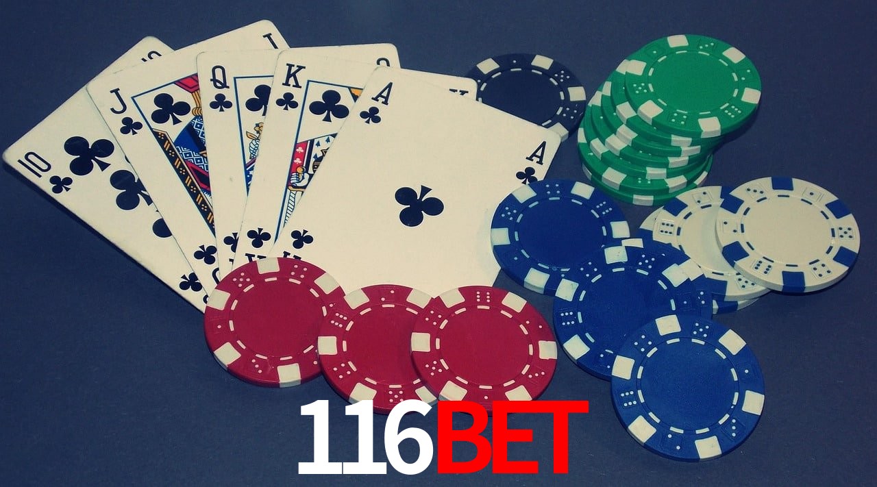 Player Reviews 116bet