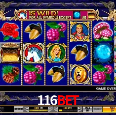 API Integration 116bet